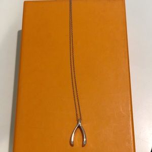 Silver Wishbone Necklace